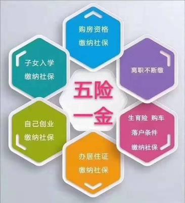 專業(yè)清洗與保潔服務 提升公共服務與專業(yè)機構的環(huán)境品質(zhì)