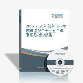 2015-2020年中國勞務行業(yè)企業(yè)投資策略及風險研究